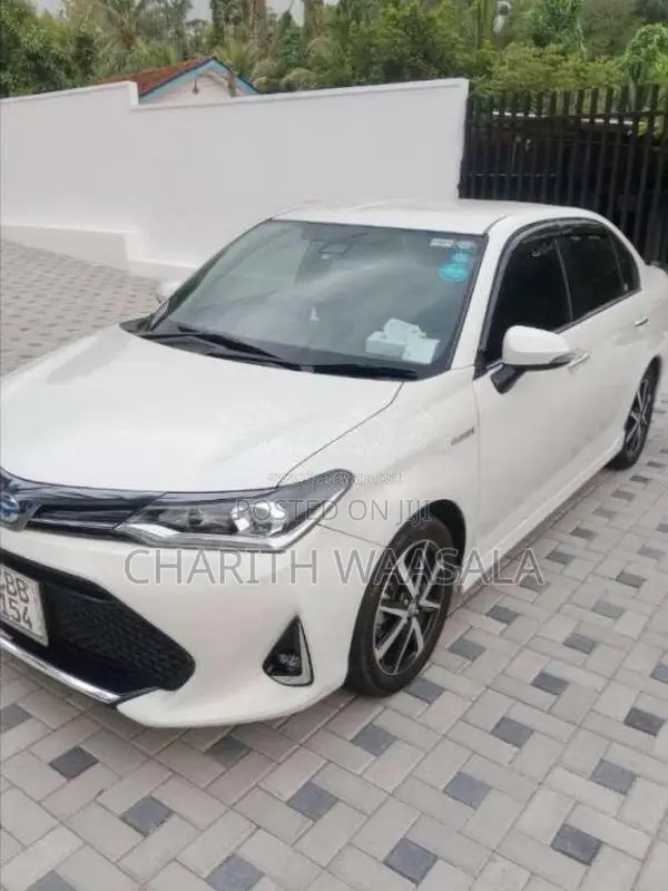 Toyota Axio 2018 Car (Used)