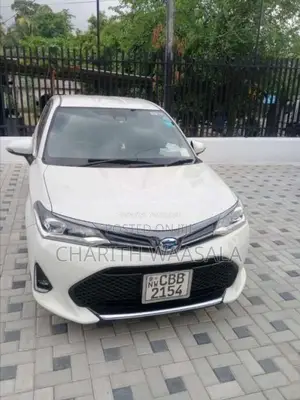 Toyota Axio 2018 Car (Used)