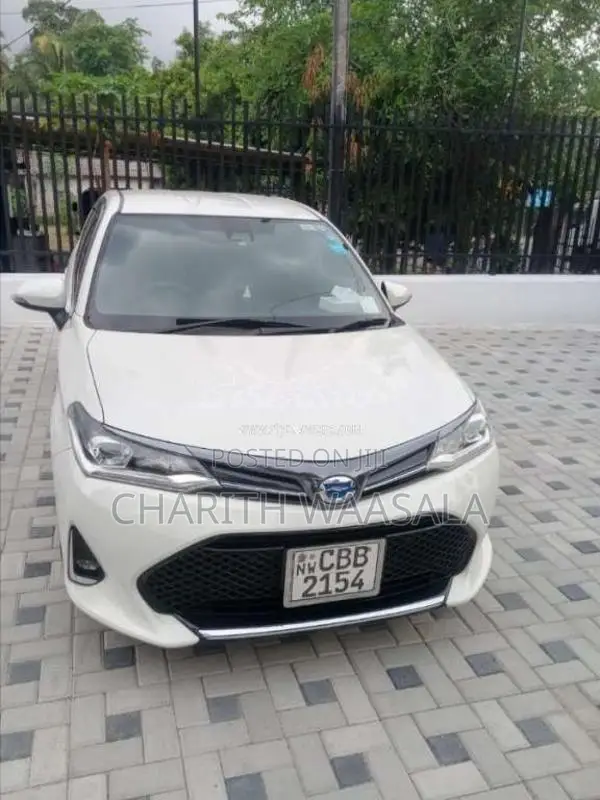 Toyota Axio 2018 Car (Used)