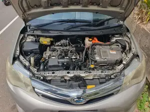 Toyota Axio 2014 Car (Used)