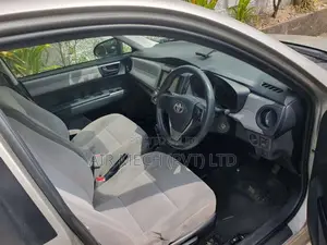 Toyota Axio 2014 Car (Used)