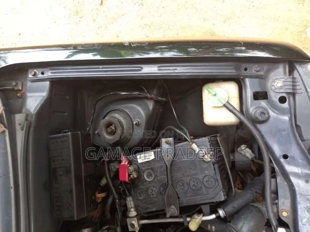 Suzuki Alto 2008 Car (Used)