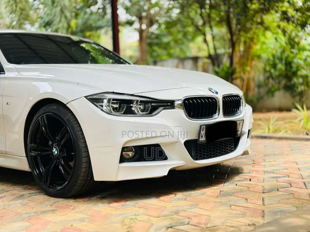 BMW 318i 2016 Car (Used)