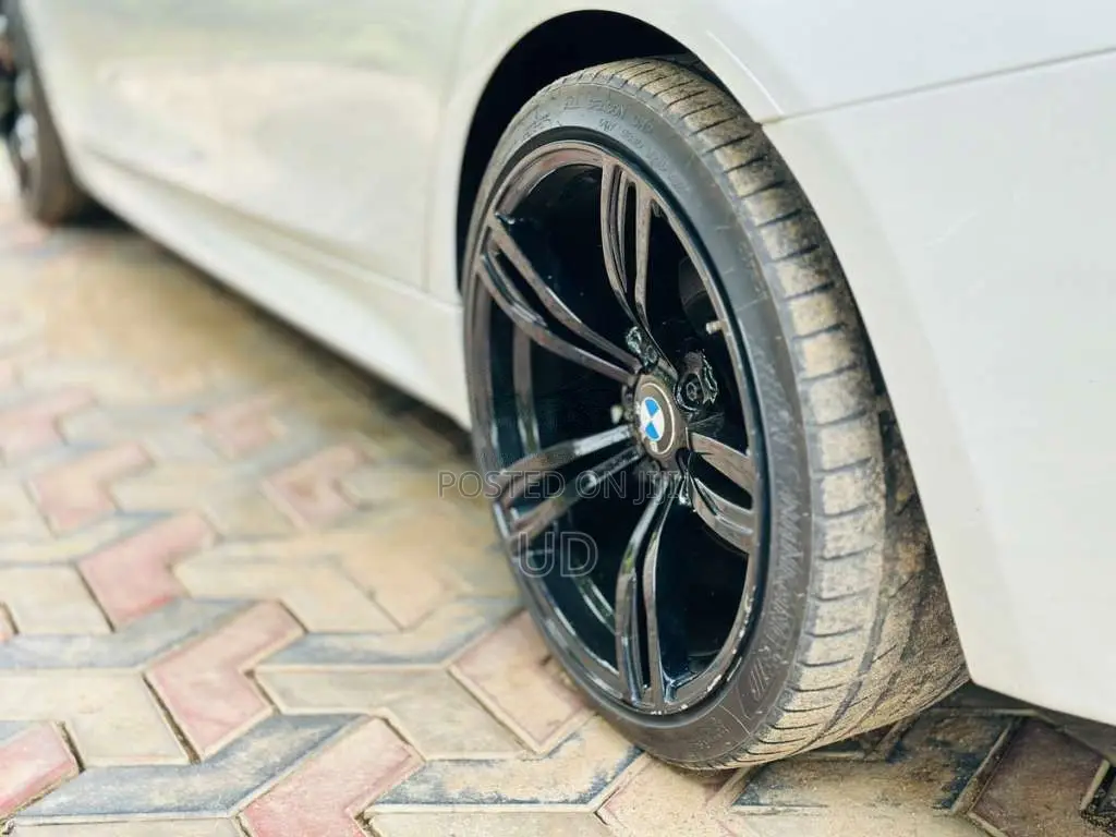 BMW 318i 2016 Car (Used)