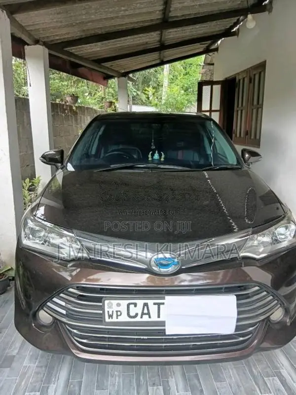 Toyota Axio Hybrid 2016 Car (Used)