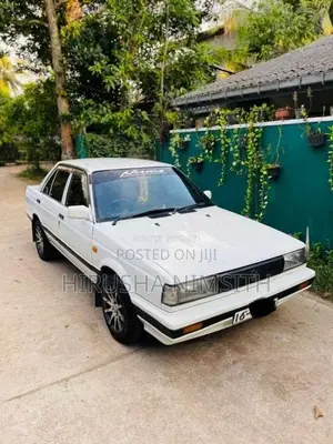 Nissan Trad Sunny 1987 Car (Used)