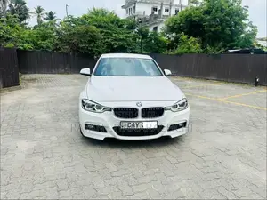 BMW 318i 2016 Car (Used)