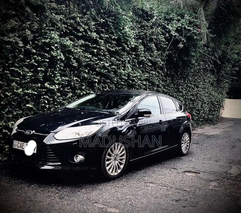 Ford Focus 2013 Car (Used)