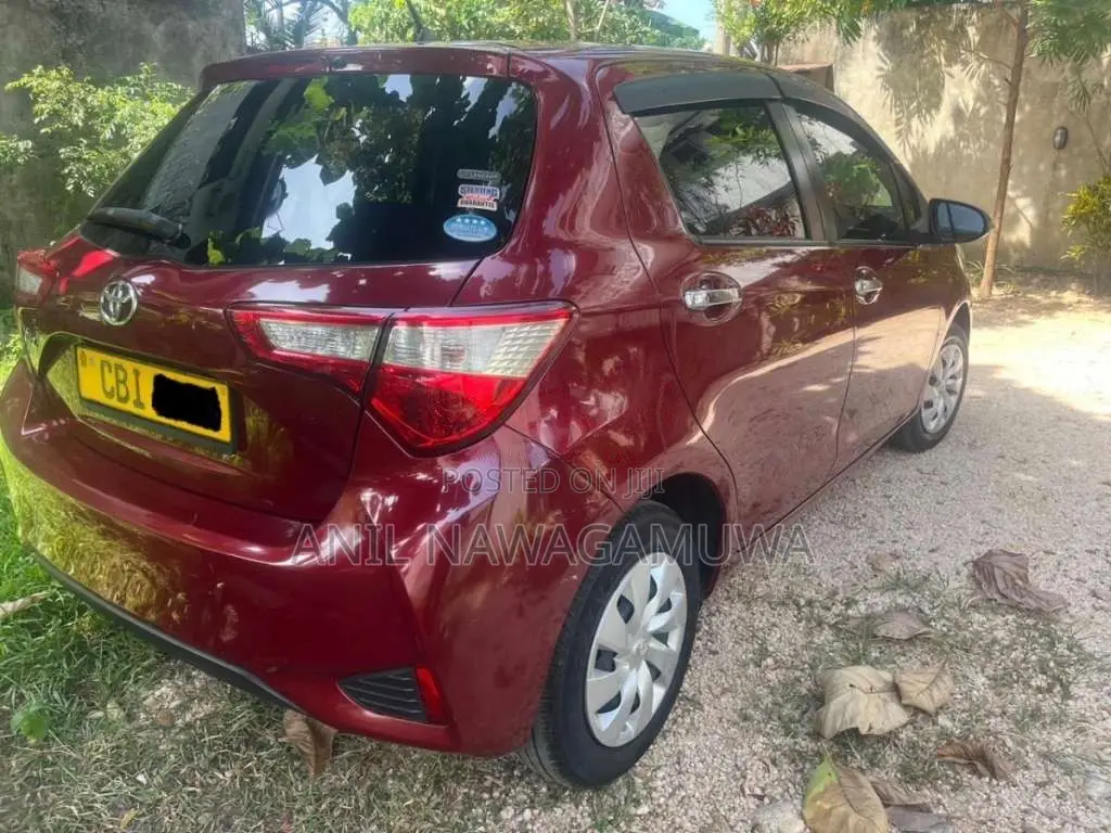Toyota Vitz Safety Edition 2019 Car (Used)