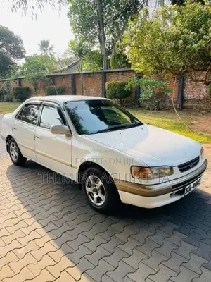 Toyota Corolla 1998 Car (Used)