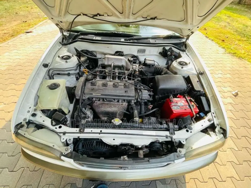 Toyota Corolla 1998 Car (Used)