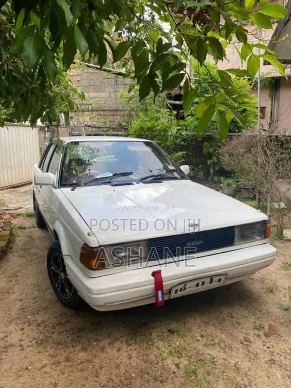 Nissan Trad Sunny 1989 Car (Used)