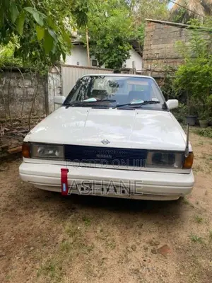 Nissan Trad Sunny 1989 Car (Used)