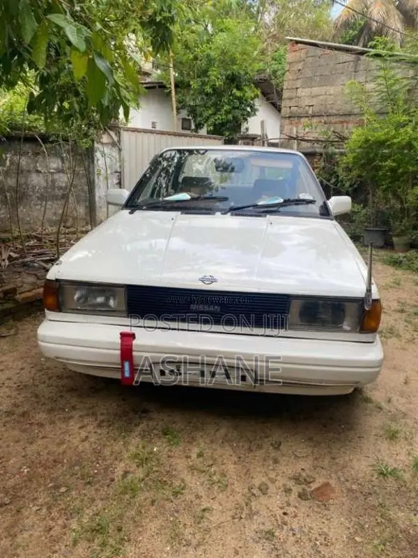 Nissan Trad Sunny 1989 Car (Used)