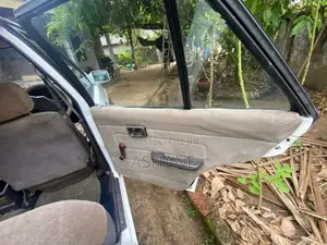 Nissan Trad Sunny 1989 Car (Used)