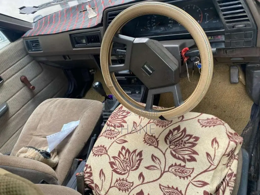 Nissan Trad Sunny 1989 Car (Used)