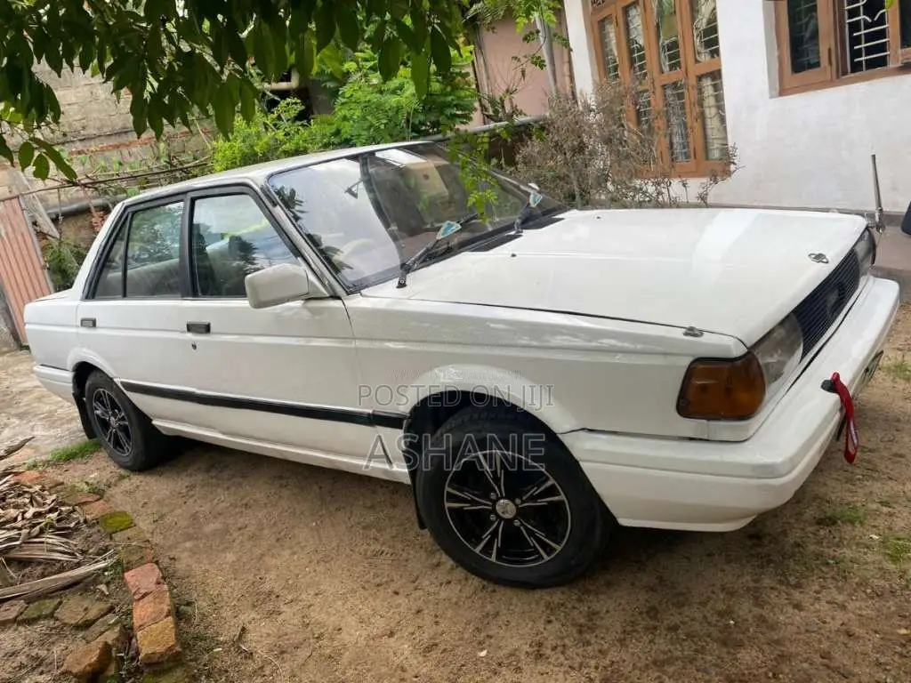 Nissan Trad Sunny 1989 Car (Used)