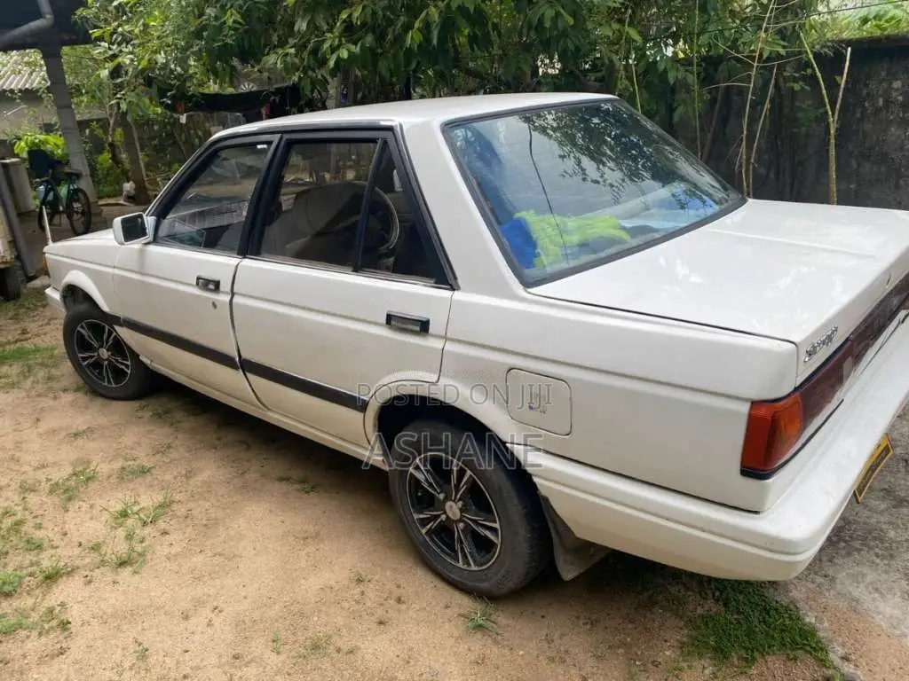 Nissan Trad Sunny 1989 Car (Used)