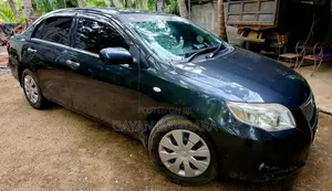 Toyota Axio 2010 Car (Used)