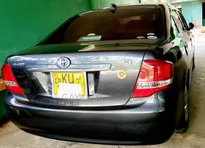 Toyota Axio 2010 Car (Used)