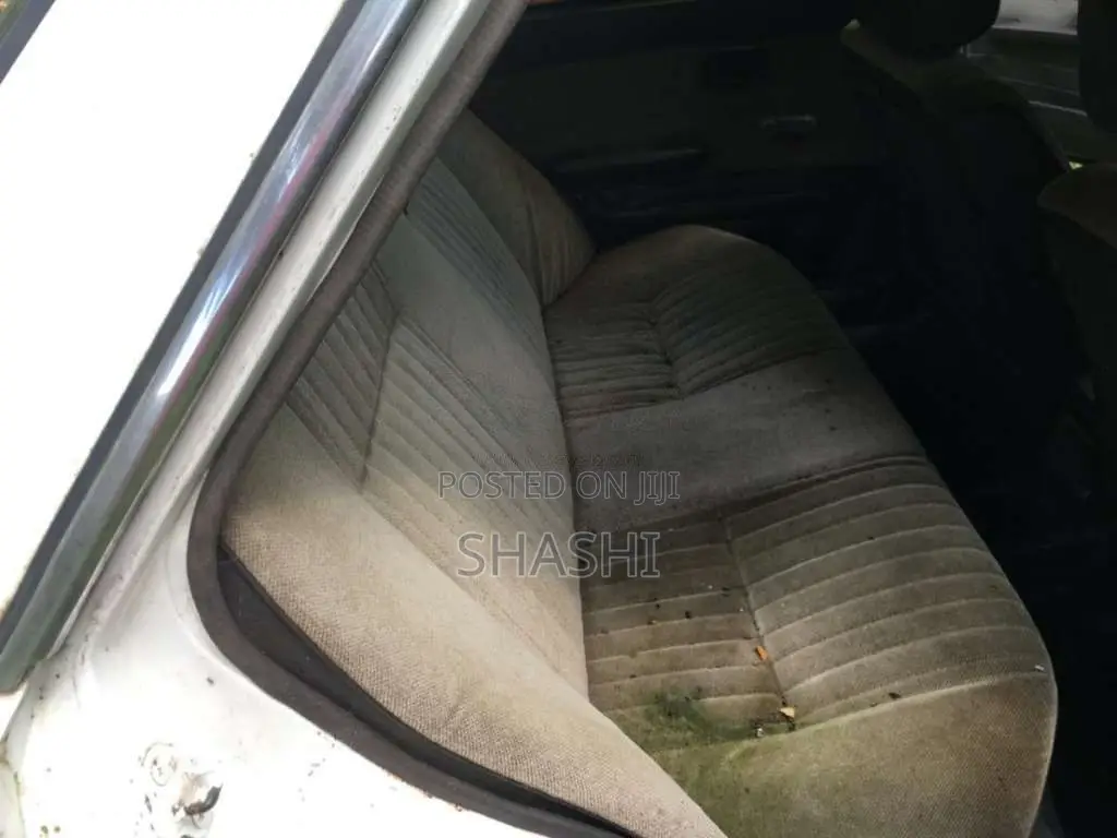 Nissan Trad Sunny 1987 Car (Used)