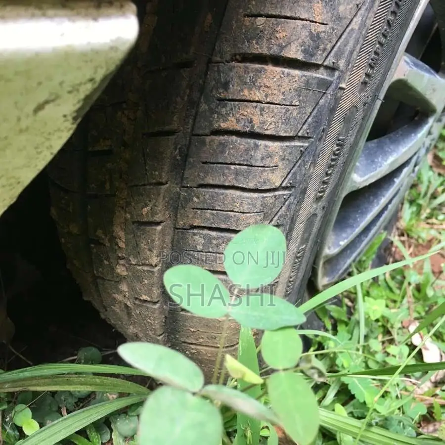 Nissan Trad Sunny 1987 Car (Used)