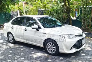 Toyota Axio 2015 Car (Used)