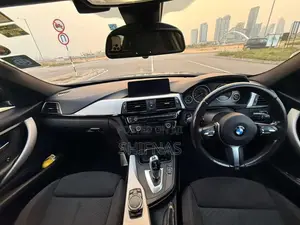BMW 318i Msport 2016 Car (Used)