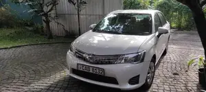 Toyota Axio 2014 Car (Used)
