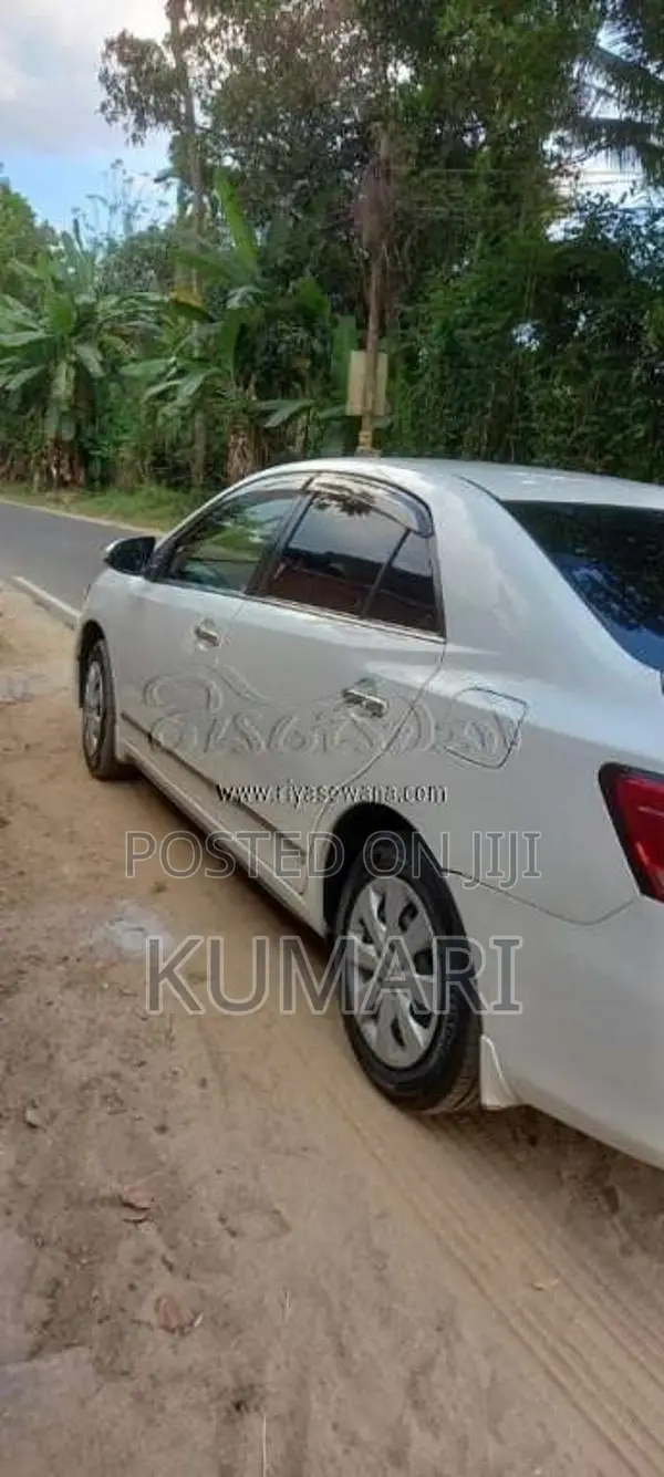 Toyota Premio 2017 Car (Used)