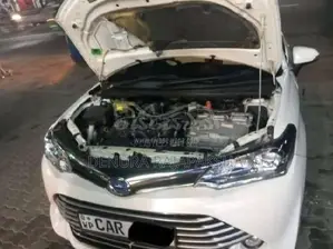 Toyota Axio 2016 Car (Used)