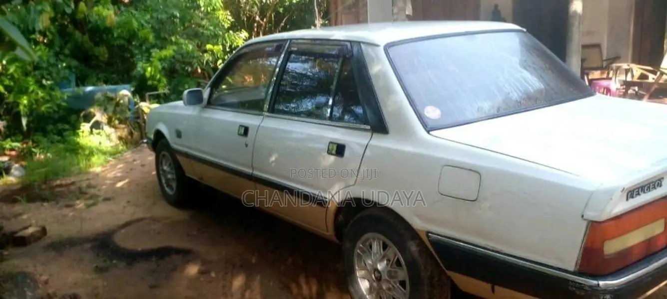 Peugeot 505 1985 Car (Used)