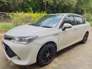 Toyota Axio G Grade 2017 Car (Used)