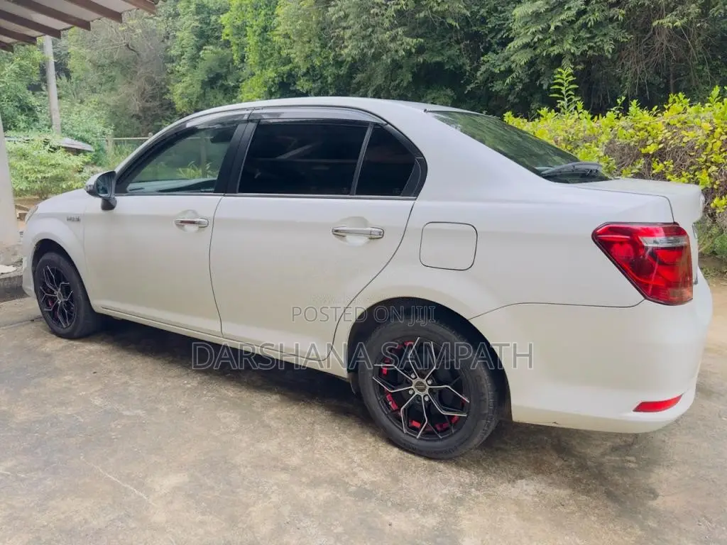 Toyota Axio G Grade 2017 Car (Used)