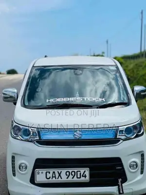 Suzuki Wagon R 2014 Car (Used)