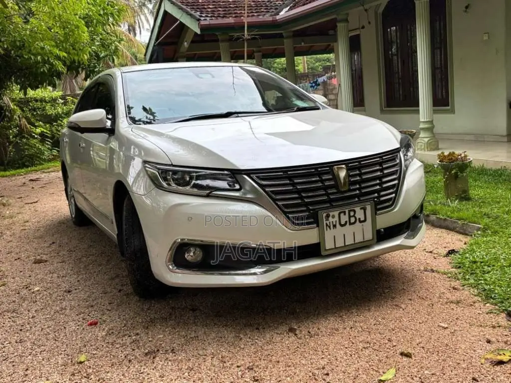 Toyota Premio G Superior 2019 Car (Used)