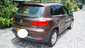 Volkswagen Tiguan 2011 Car (Used)