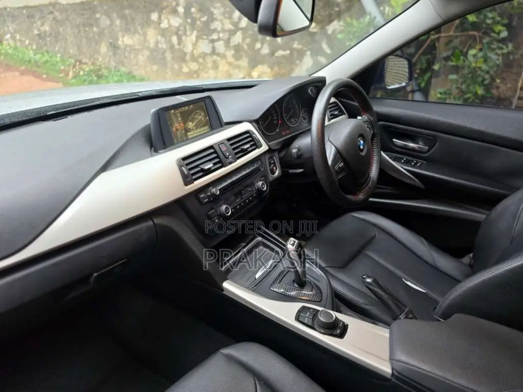BMW 316i 2017 Car (Used)