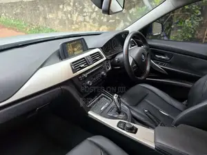 BMW 316i 2017 Car (Used)