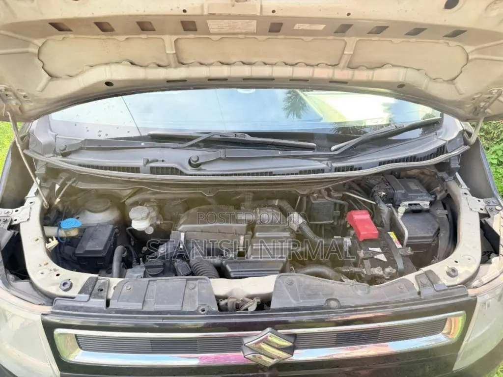Suzuki Wagon R 2018 Car (Used)