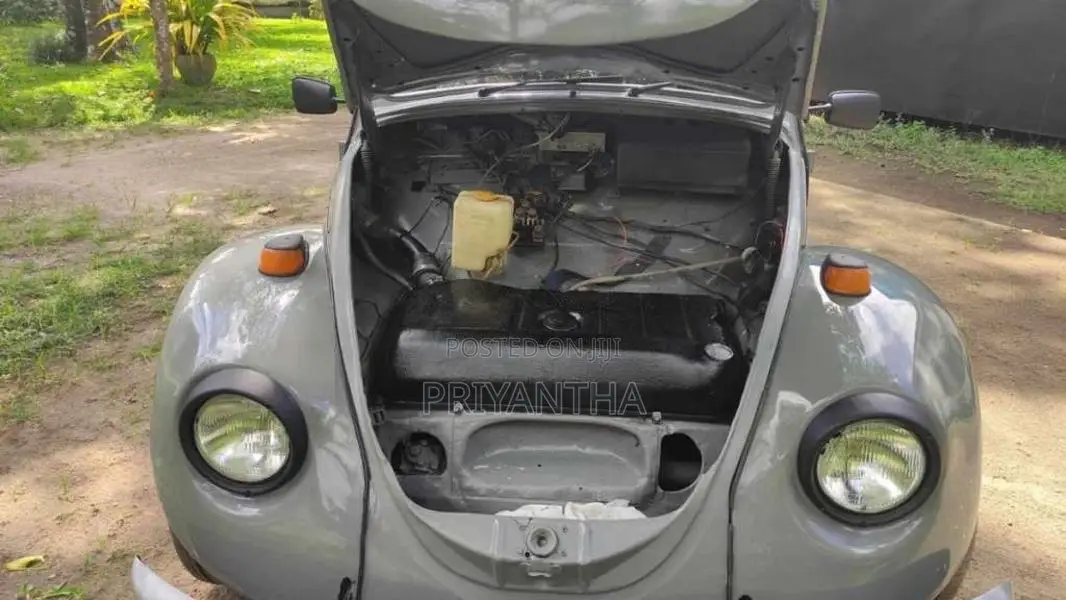 Volkswagen Beetle 1969 Car (Used)