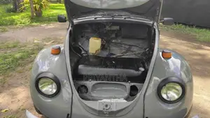 Volkswagen Beetle 1969 Car (Used)