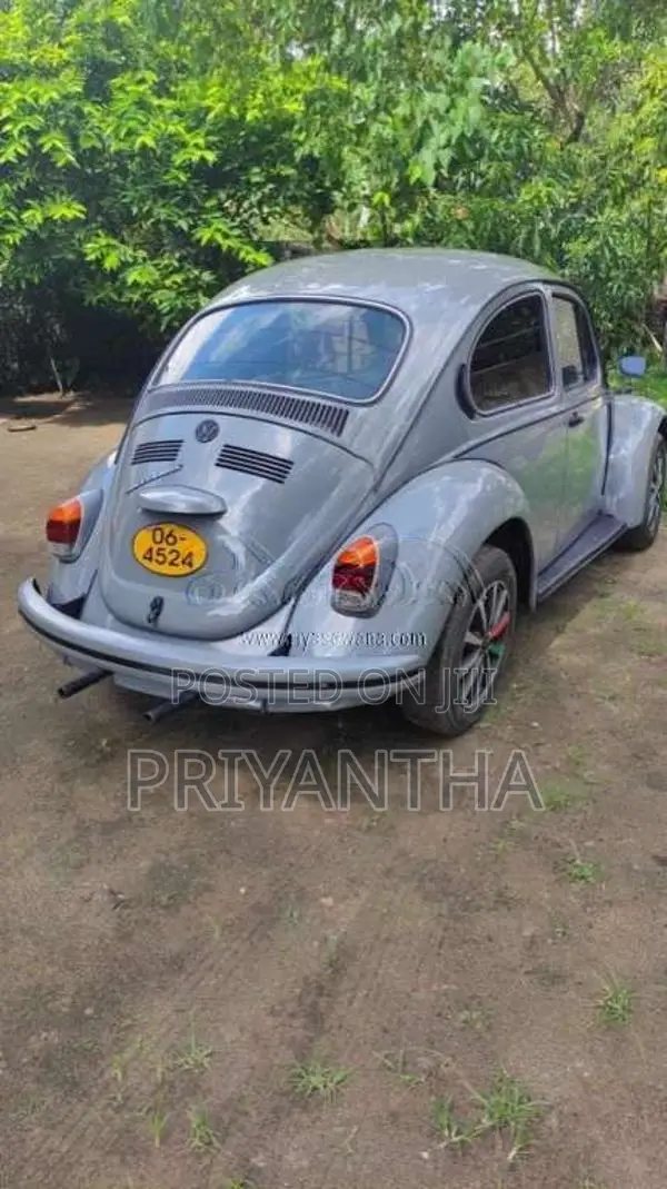 Volkswagen Beetle 1969 Car (Used)