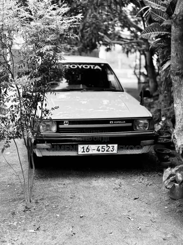 Toyota Dx Wagon 1986 Car (Used)