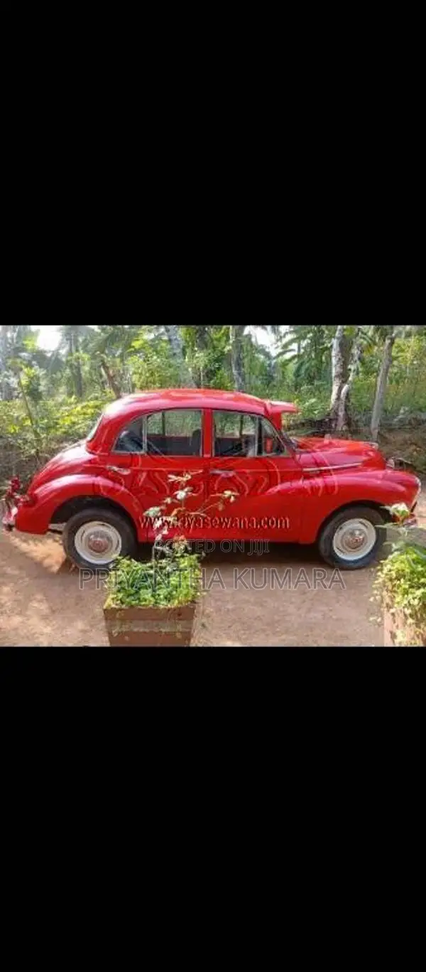 Morris Minor 1980 Car (Used)