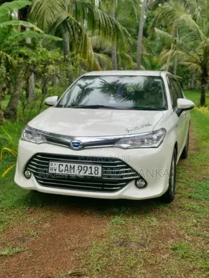Toyota Axio 2015 Car (Used)