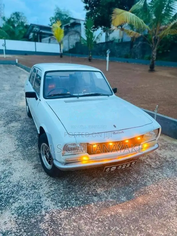 Peugeot 305 1980 Car (Used)
