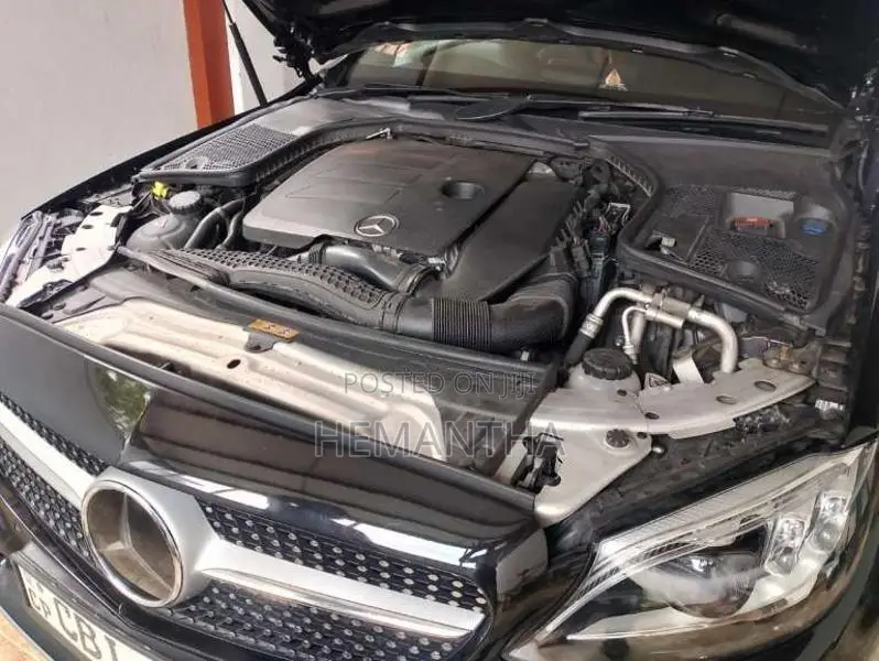 Mercedes-Benz C200 2019 Car (Used)