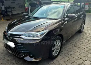 Toyota Axio Hybrid 165 2015 Car (Used)