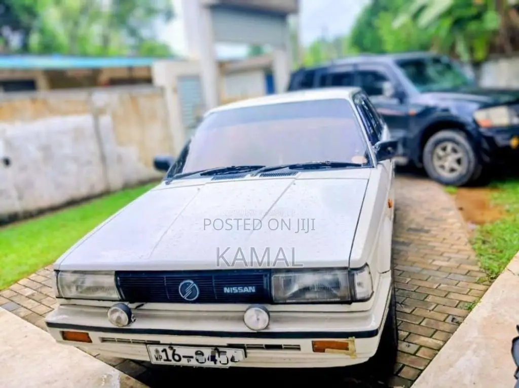 Nissan Trad Sunny 1984 Car (Used)